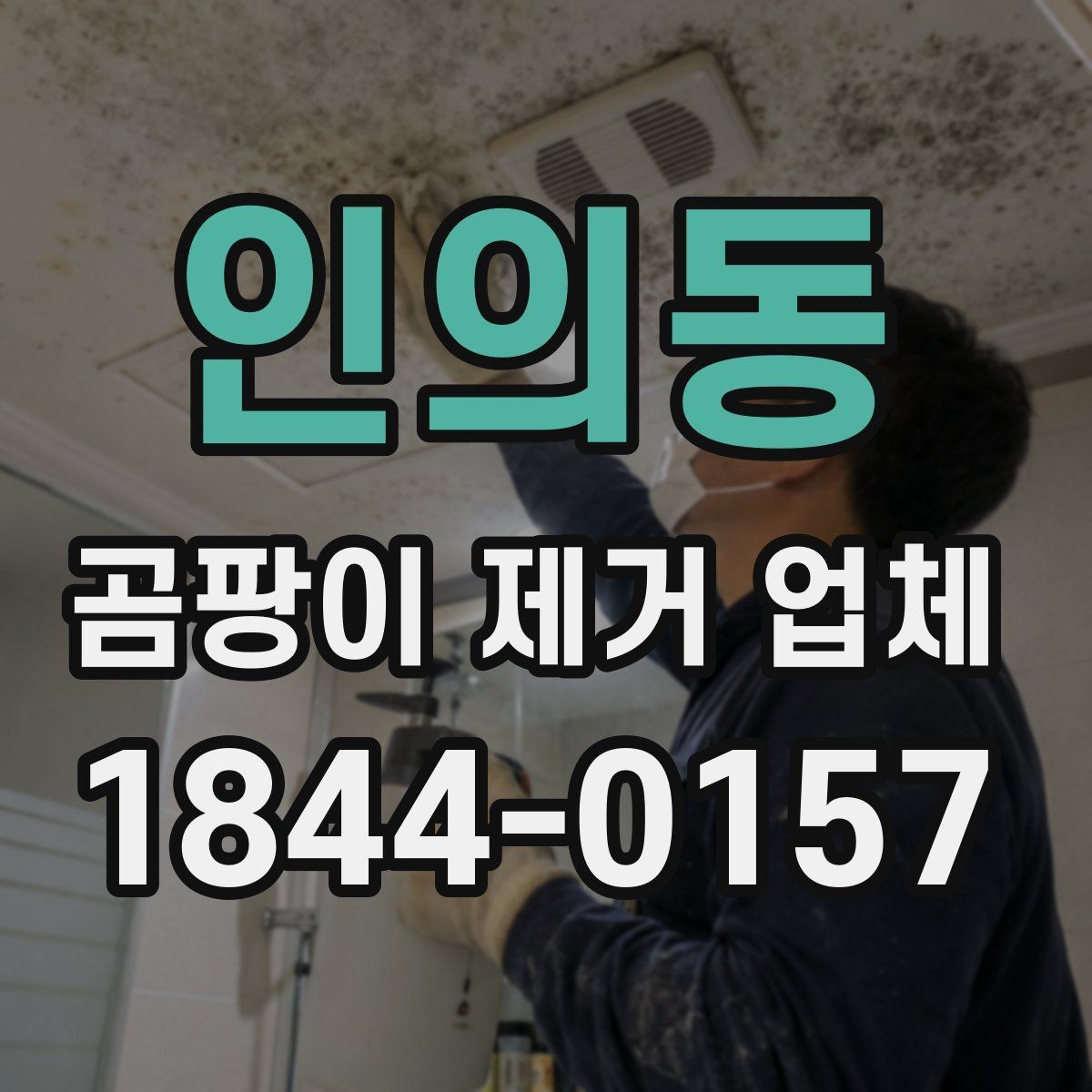 인의동 곰팡이 제거 업체 천장 오염이 반복될 때 먼저 확인할 하자
