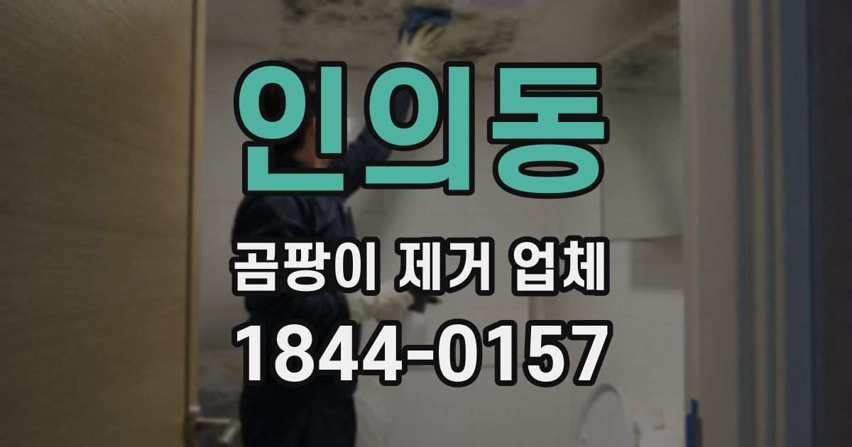 인의동 곰팡이 제거 업체