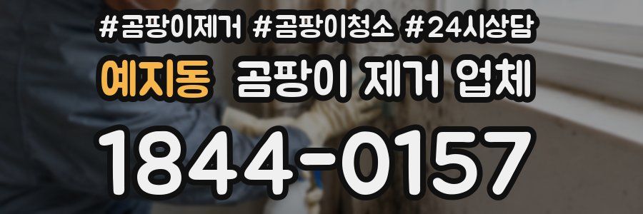 예지동 곰팡이 제거 업체