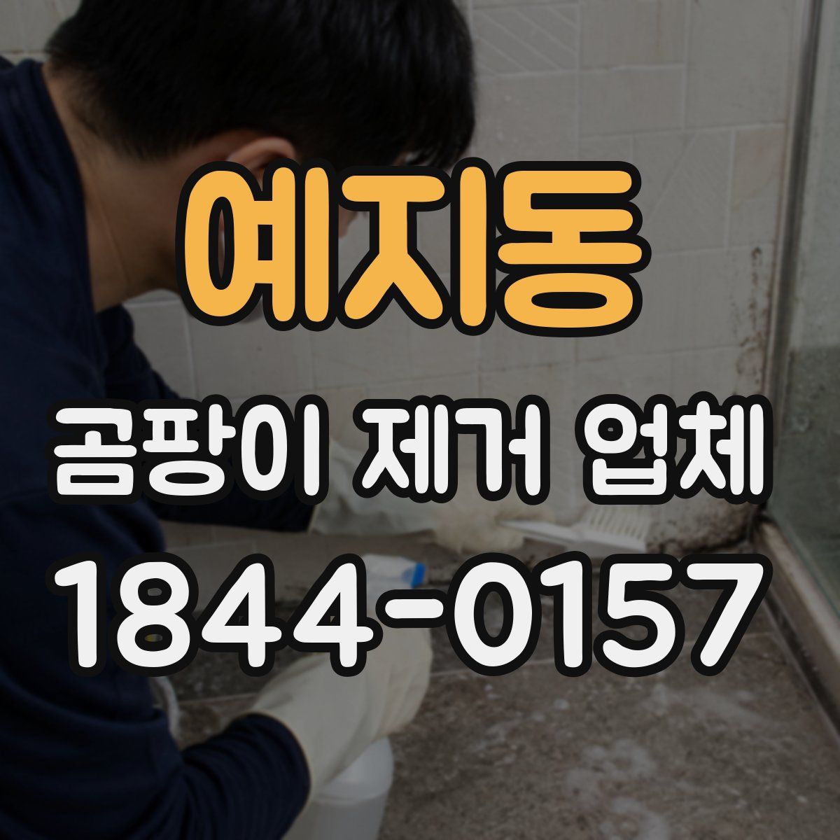 예지동 곰팡이 제거 업체