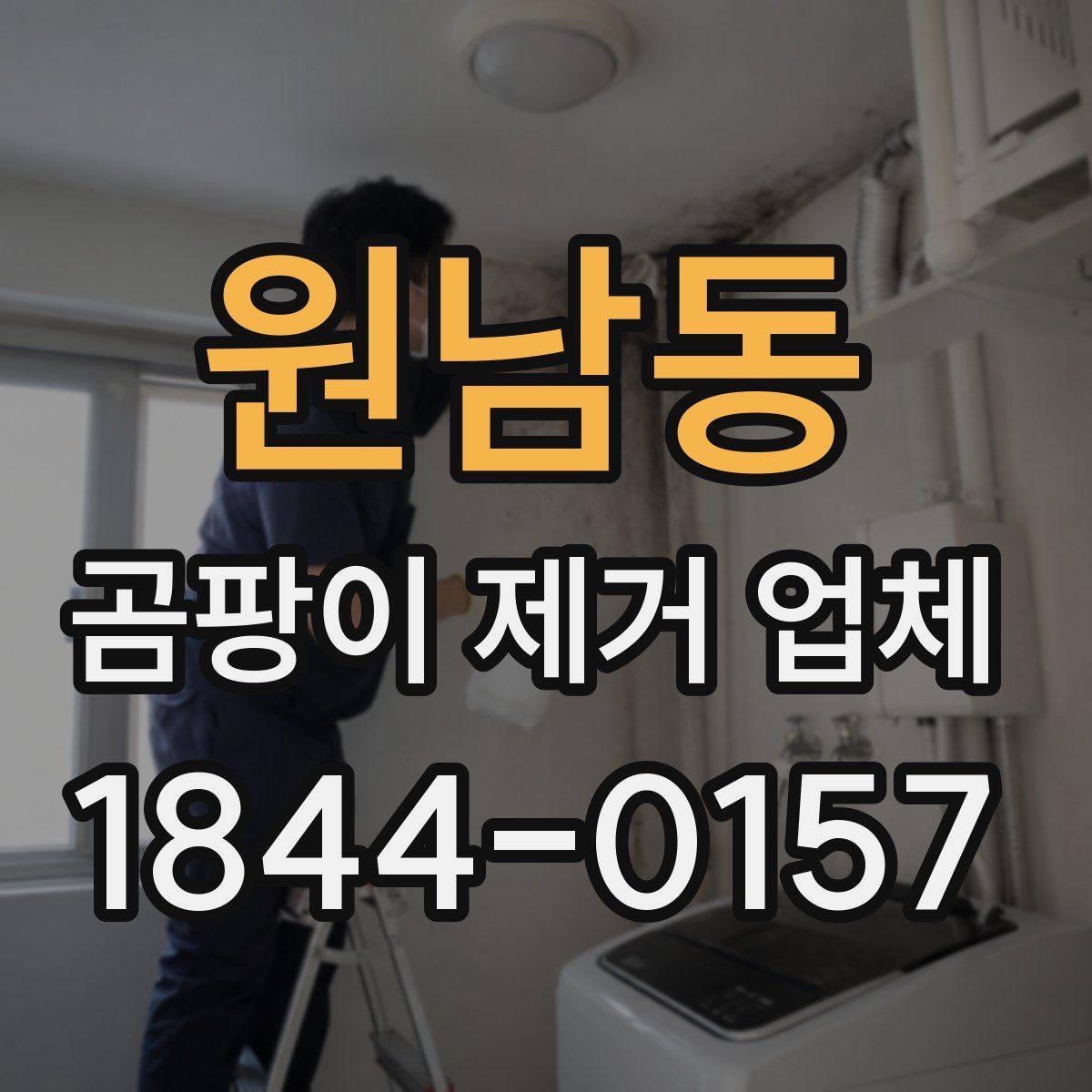 원남동 곰팡이 제거 업체