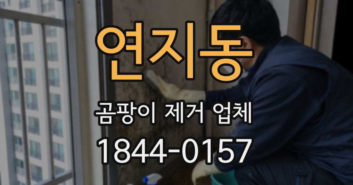 연지동 곰팡이 제거 업체