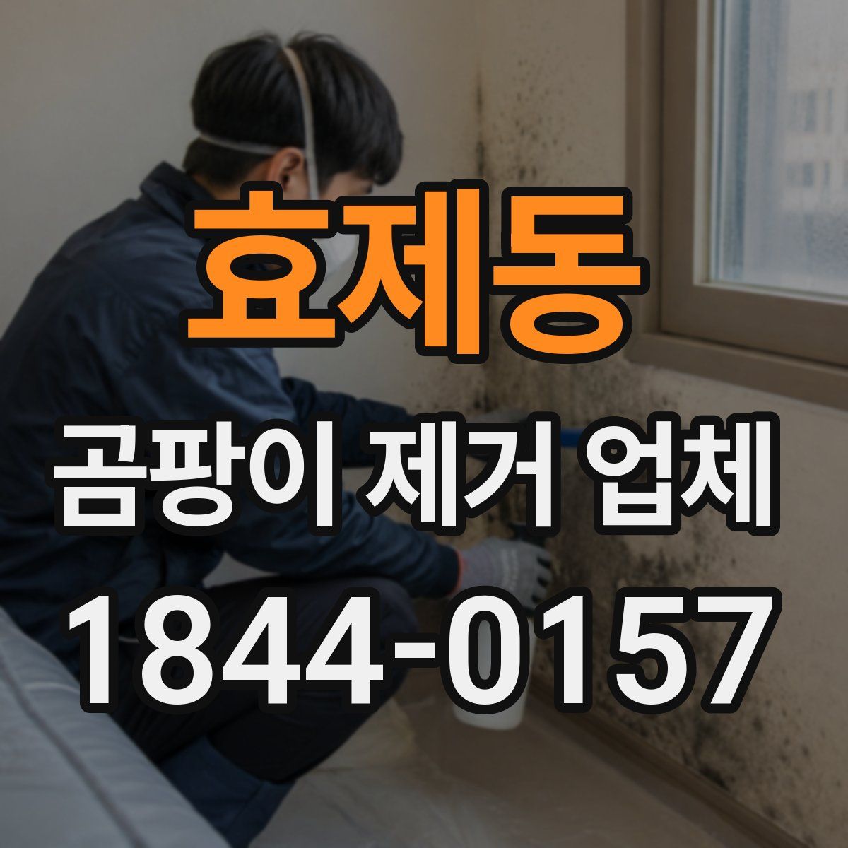 효제동 곰팡이 제거 업체