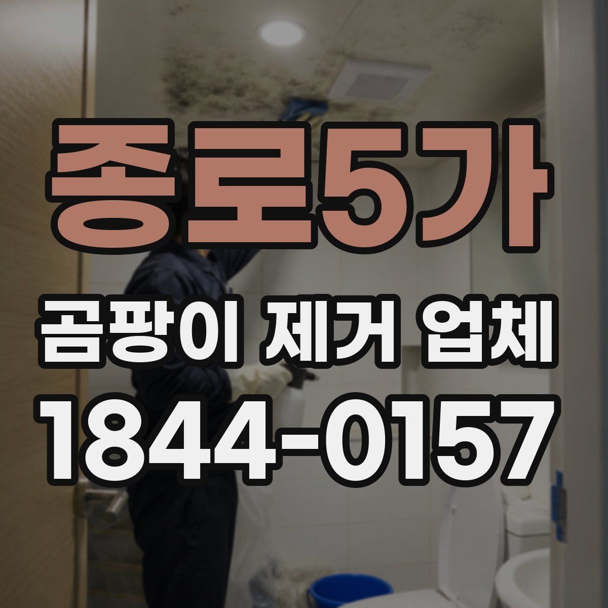 종로5가 곰팡이 제거 업체 현장 방문으로 하자 범위를 구체적으로 파악하는 법