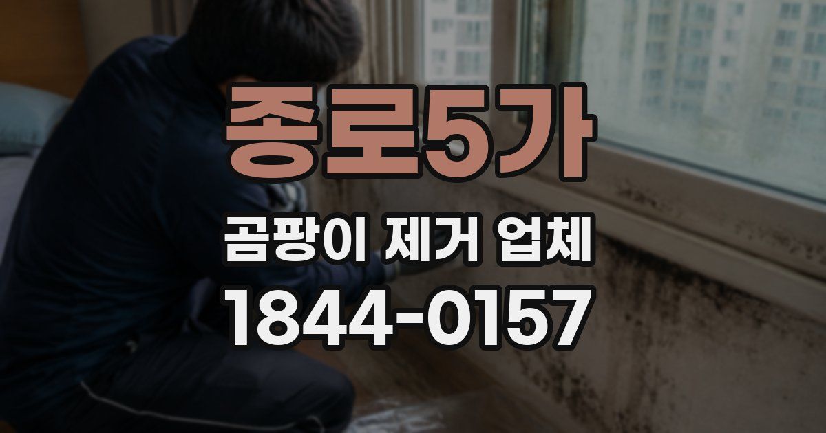 종로5가 곰팡이 제거 업체
