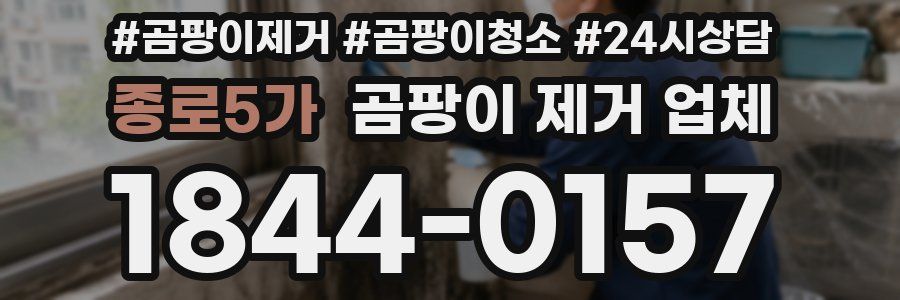 종로5가 곰팡이 제거 업체