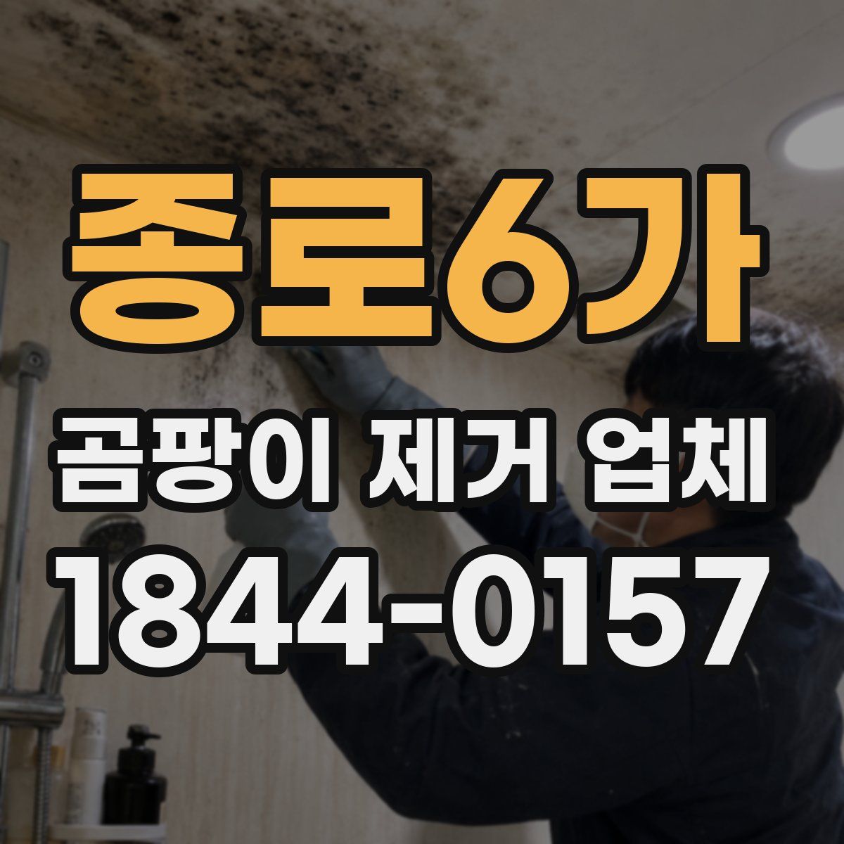 종로6가 곰팡이 제거 업체
