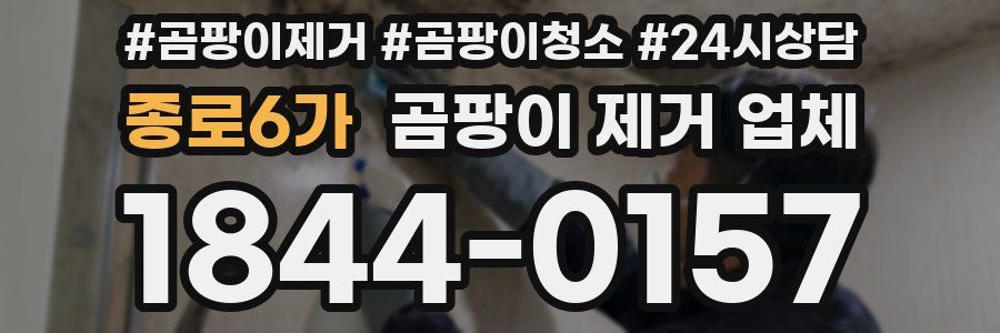 종로6가 곰팡이 제거 업체
