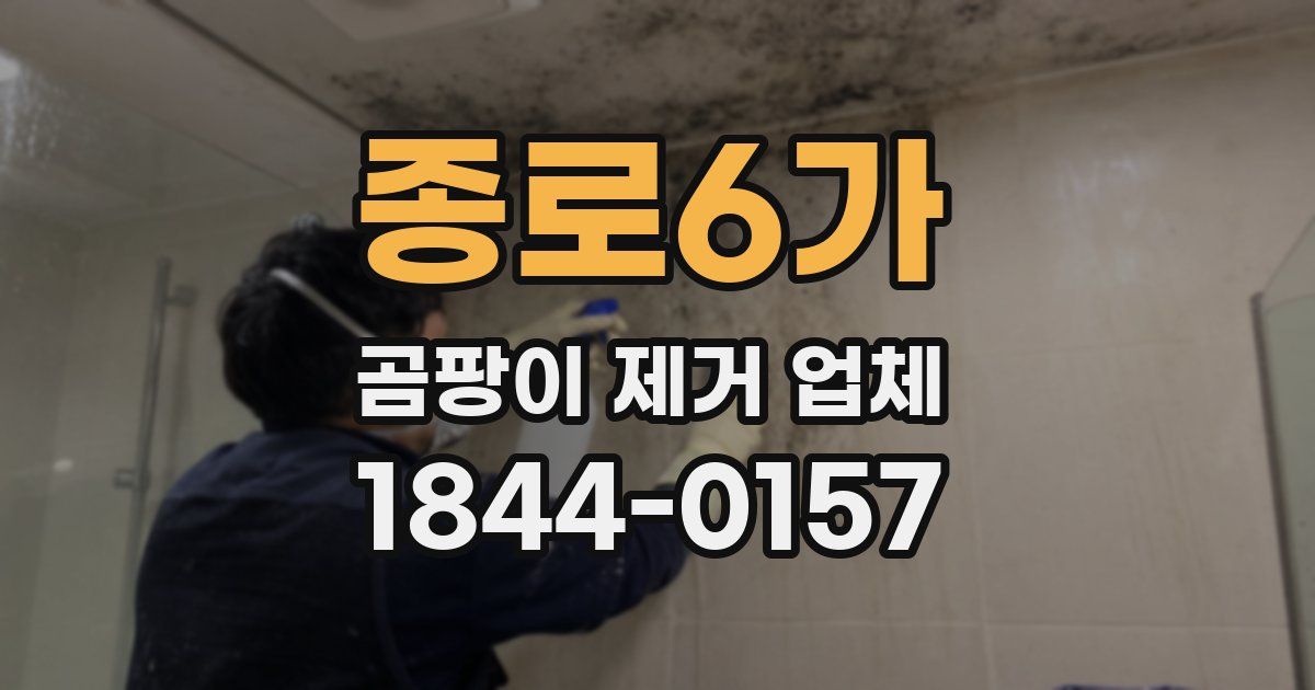 종로6가 곰팡이 제거 업체