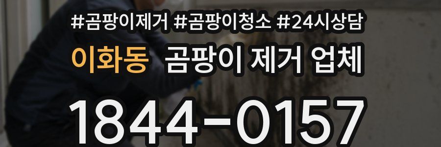 이화동 곰팡이 제거 업체
