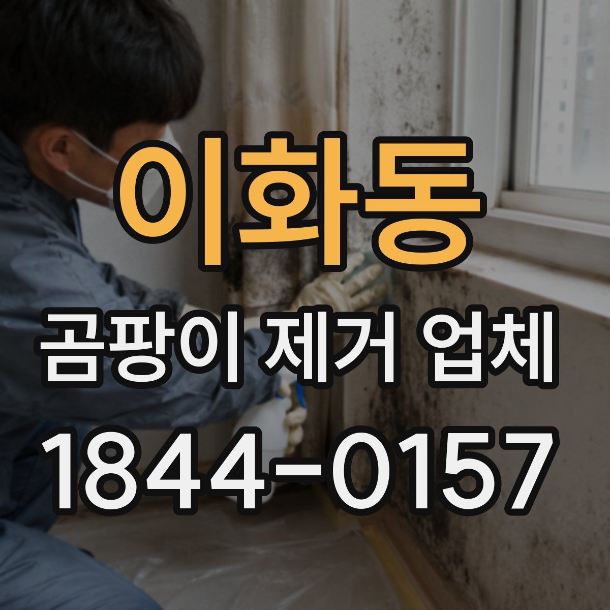 이화동 곰팡이 제거 업체