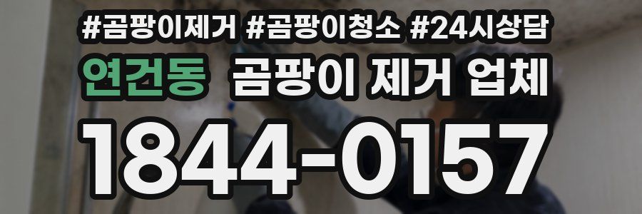 연건동 곰팡이 제거 업체