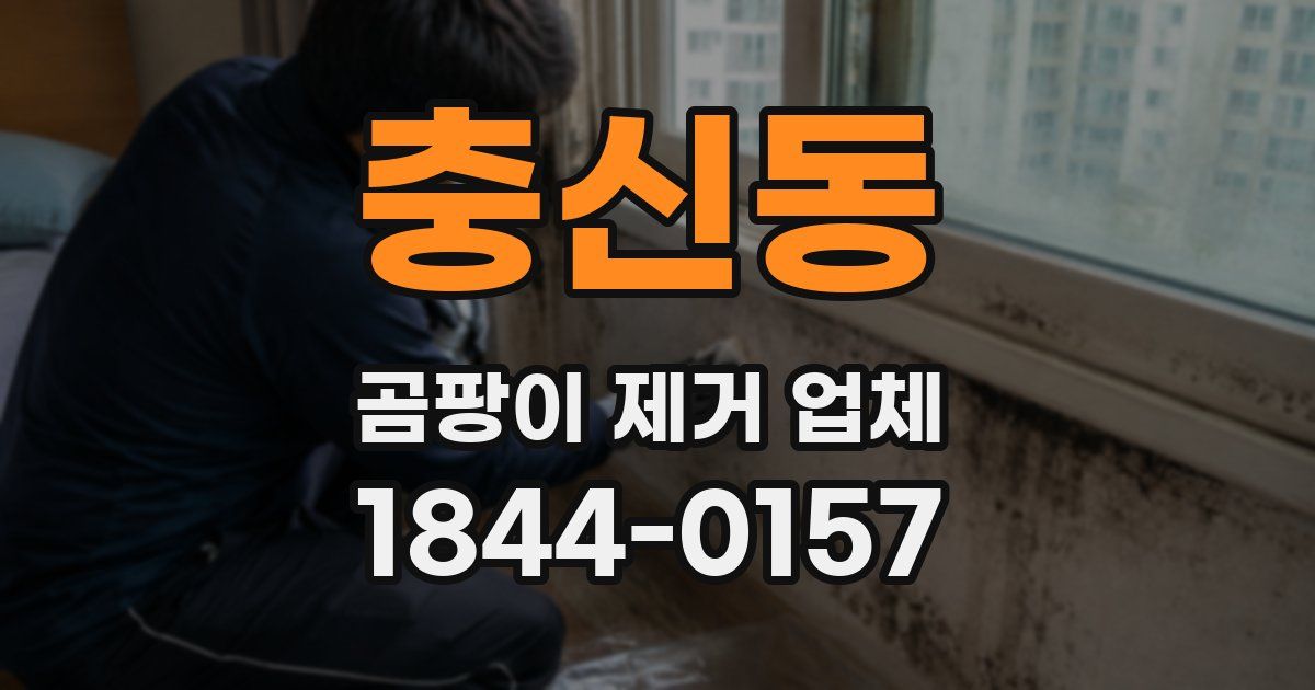 충신동 곰팡이 제거 업체