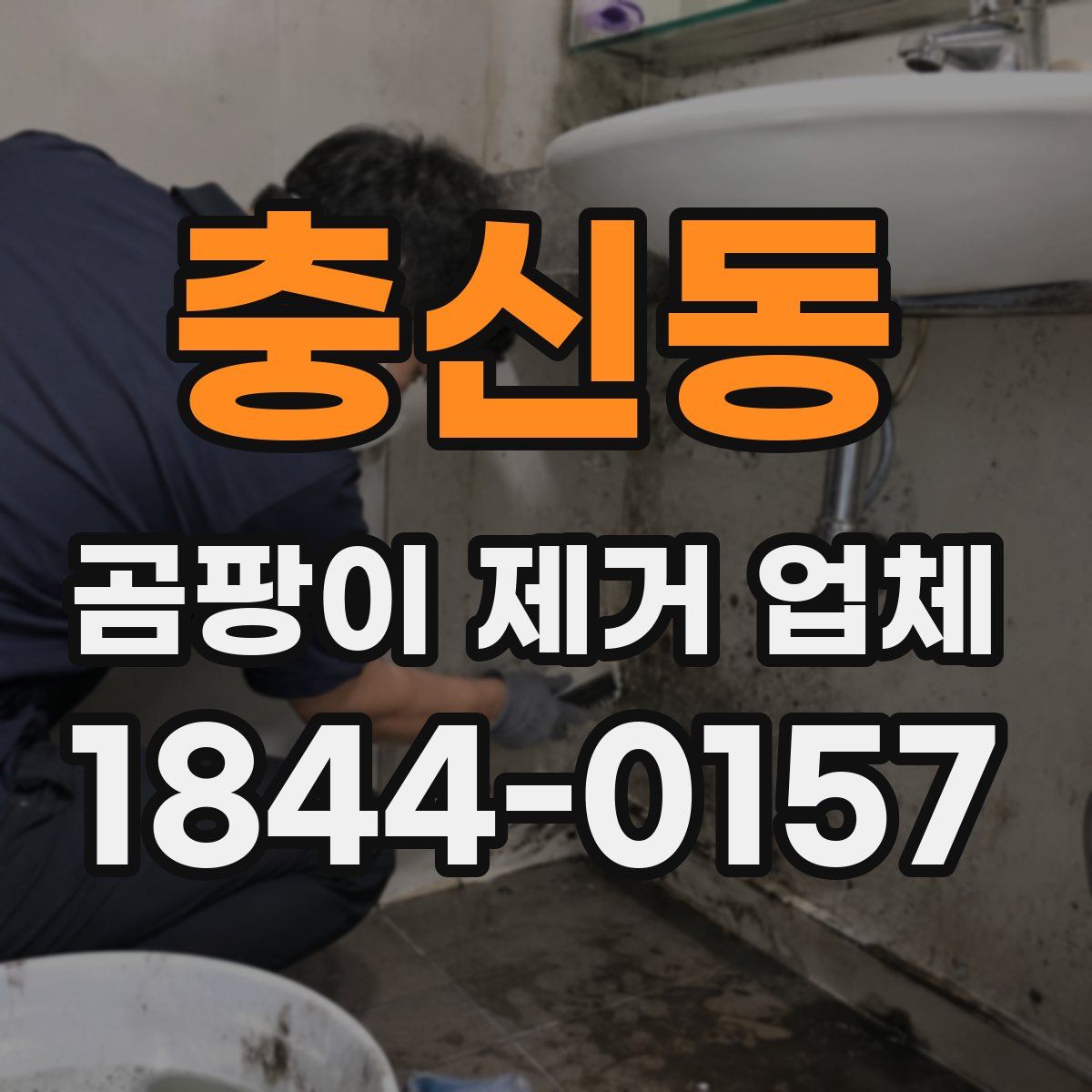 충신동 곰팡이 제거 업체