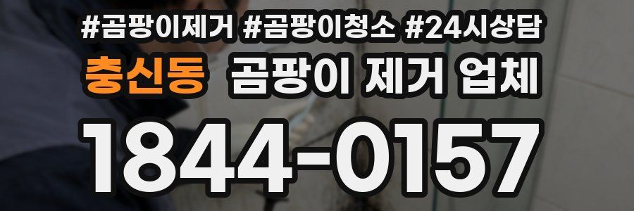 충신동 곰팡이 제거 업체