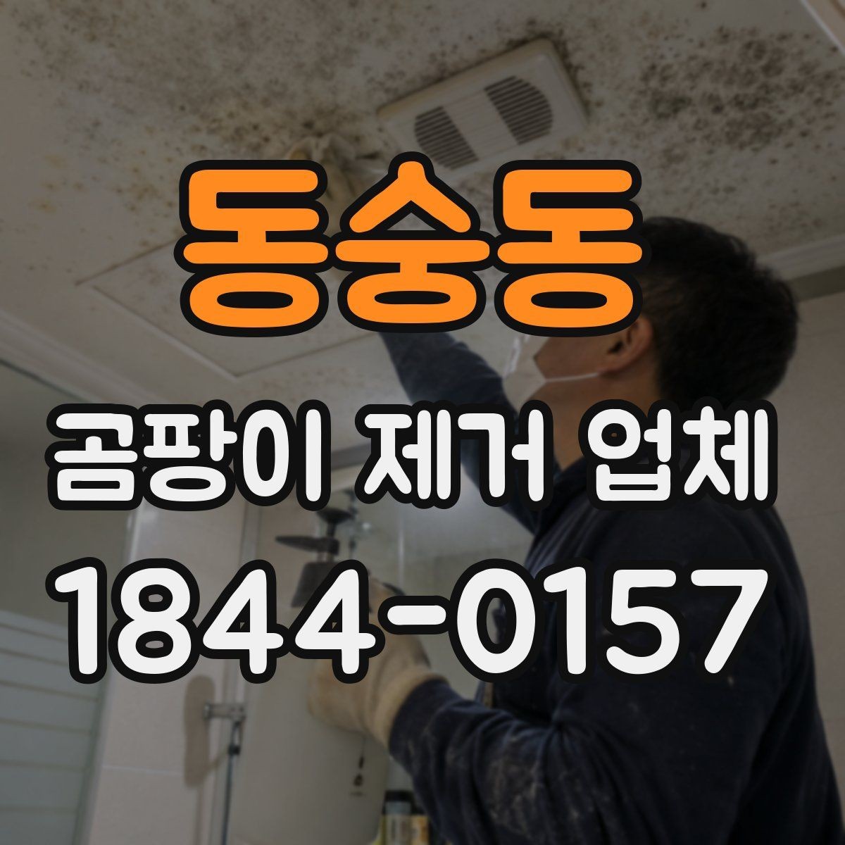 동숭동 곰팡이 제거 업체 천장 오염이 반복되는 패턴 살펴보기