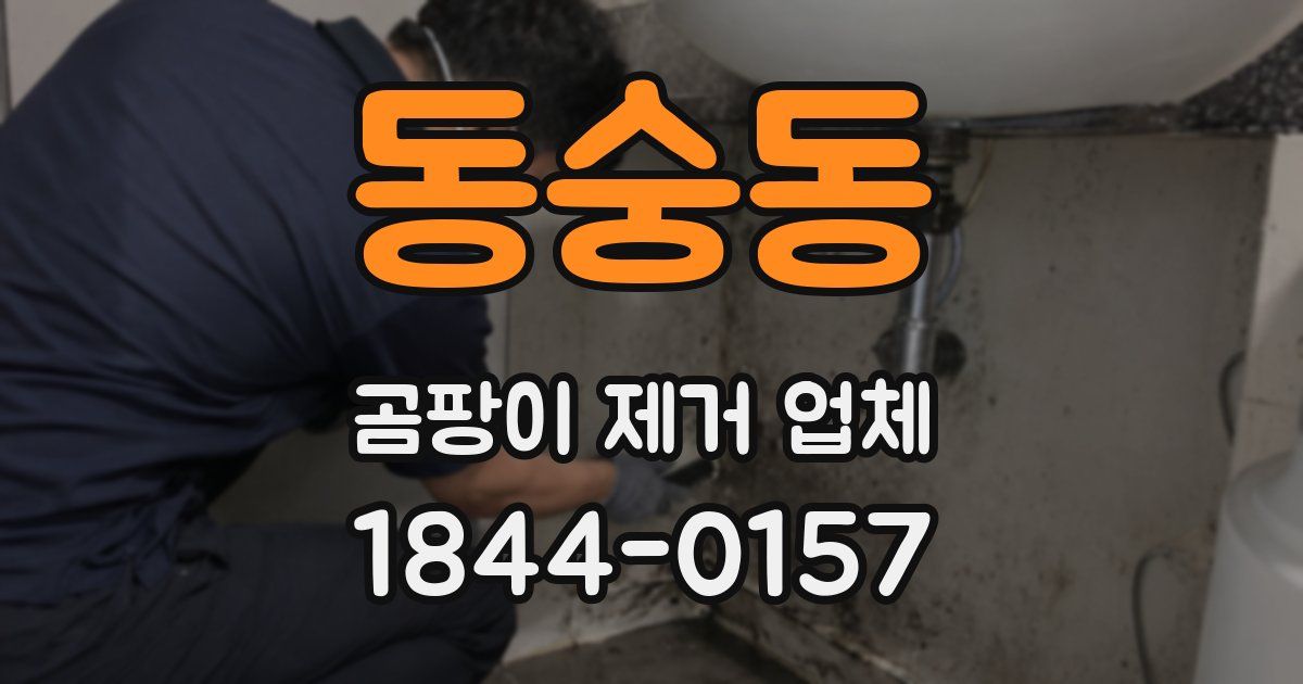 동숭동 곰팡이 제거 업체