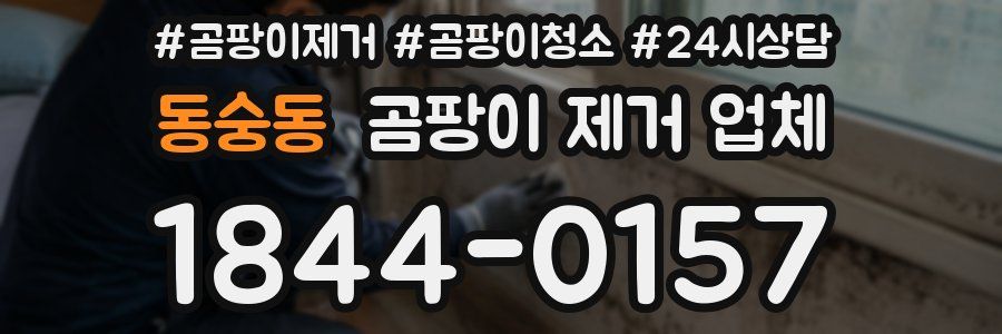 동숭동 곰팡이 제거 업체