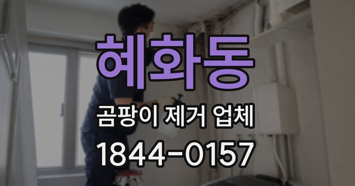 혜화동 곰팡이 제거 업체