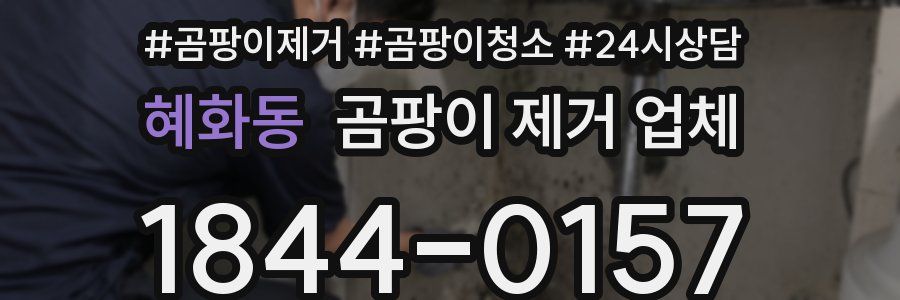 혜화동 곰팡이 제거 업체