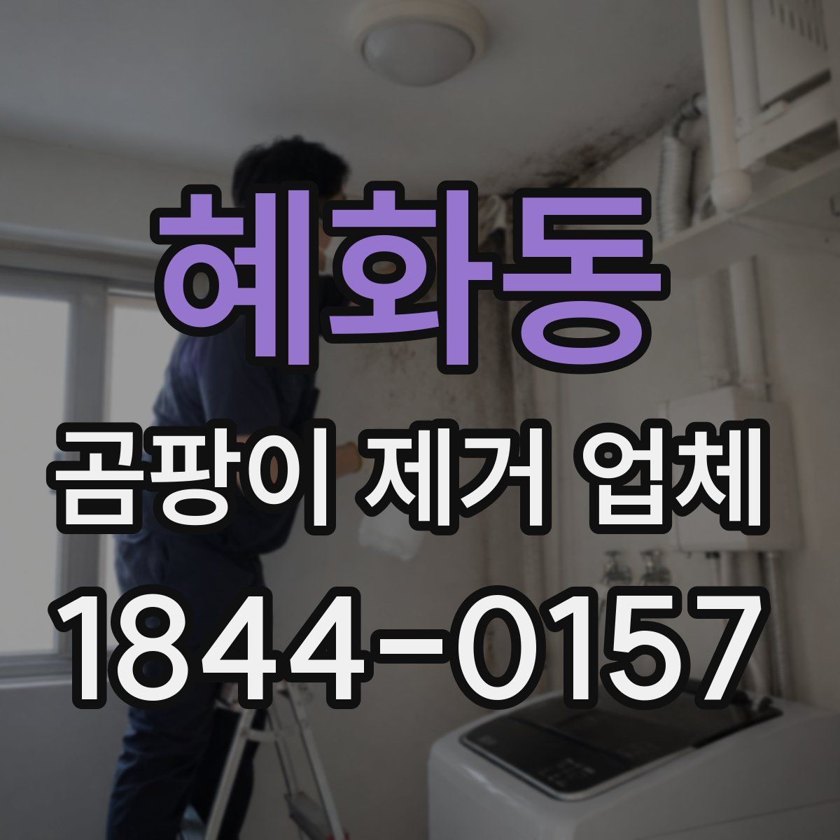혜화동 곰팡이 제거 업체