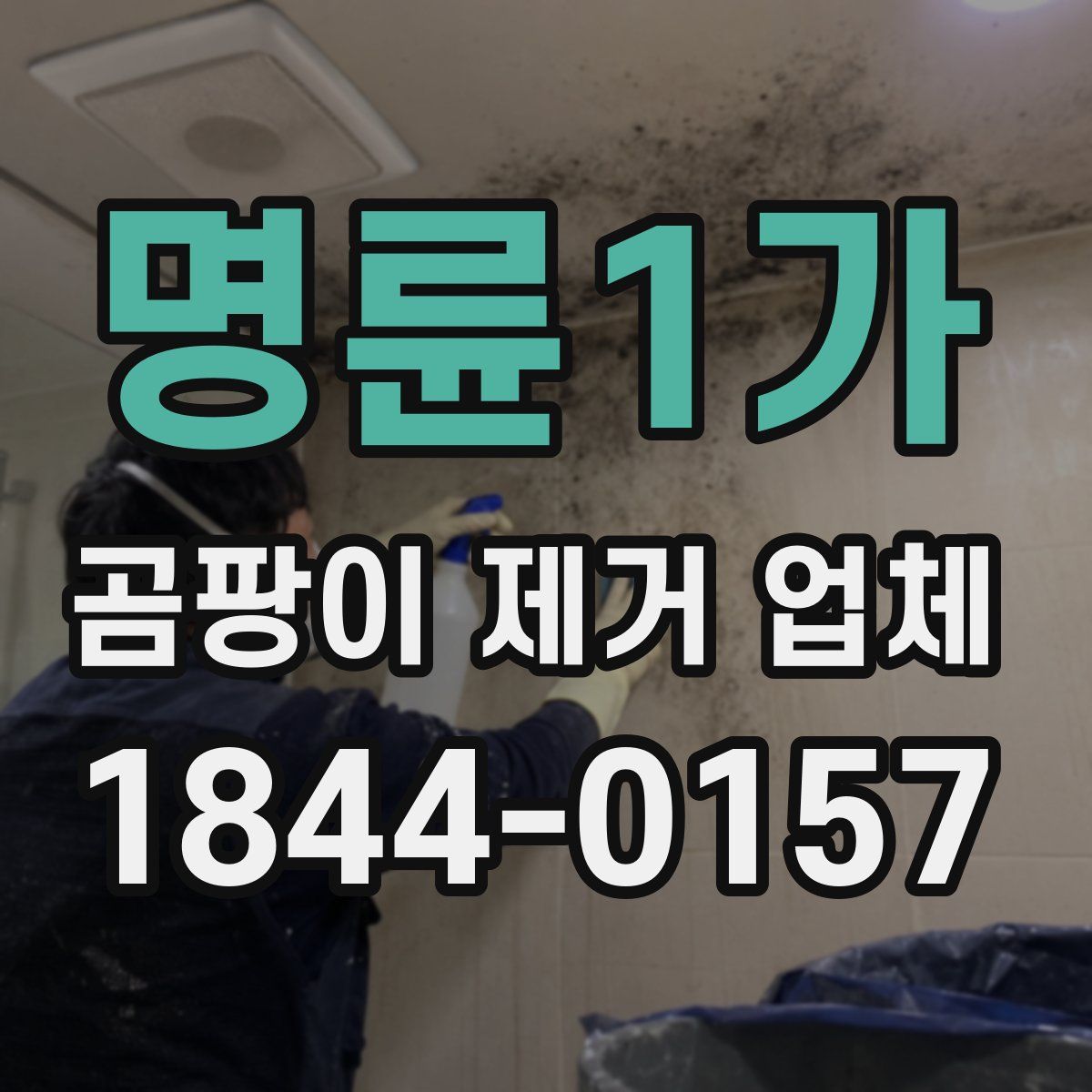 명륜1가 곰팡이 제거 업체