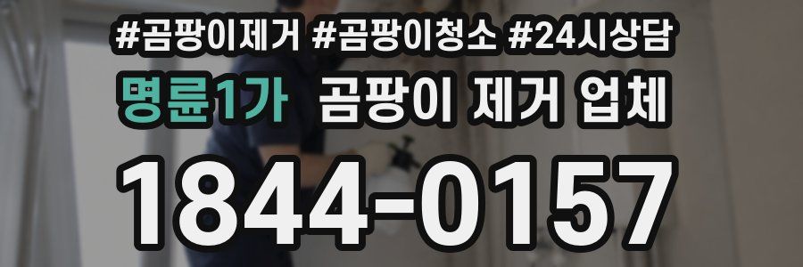 명륜1가 곰팡이 제거 업체