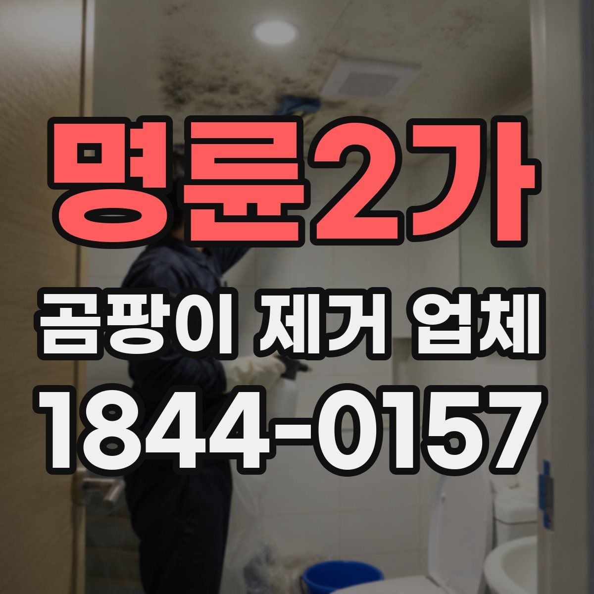 명륜2가 곰팡이 제거 업체