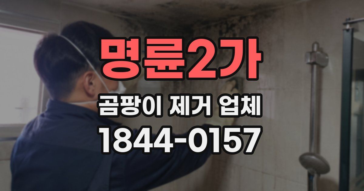 명륜2가 곰팡이 제거 업체