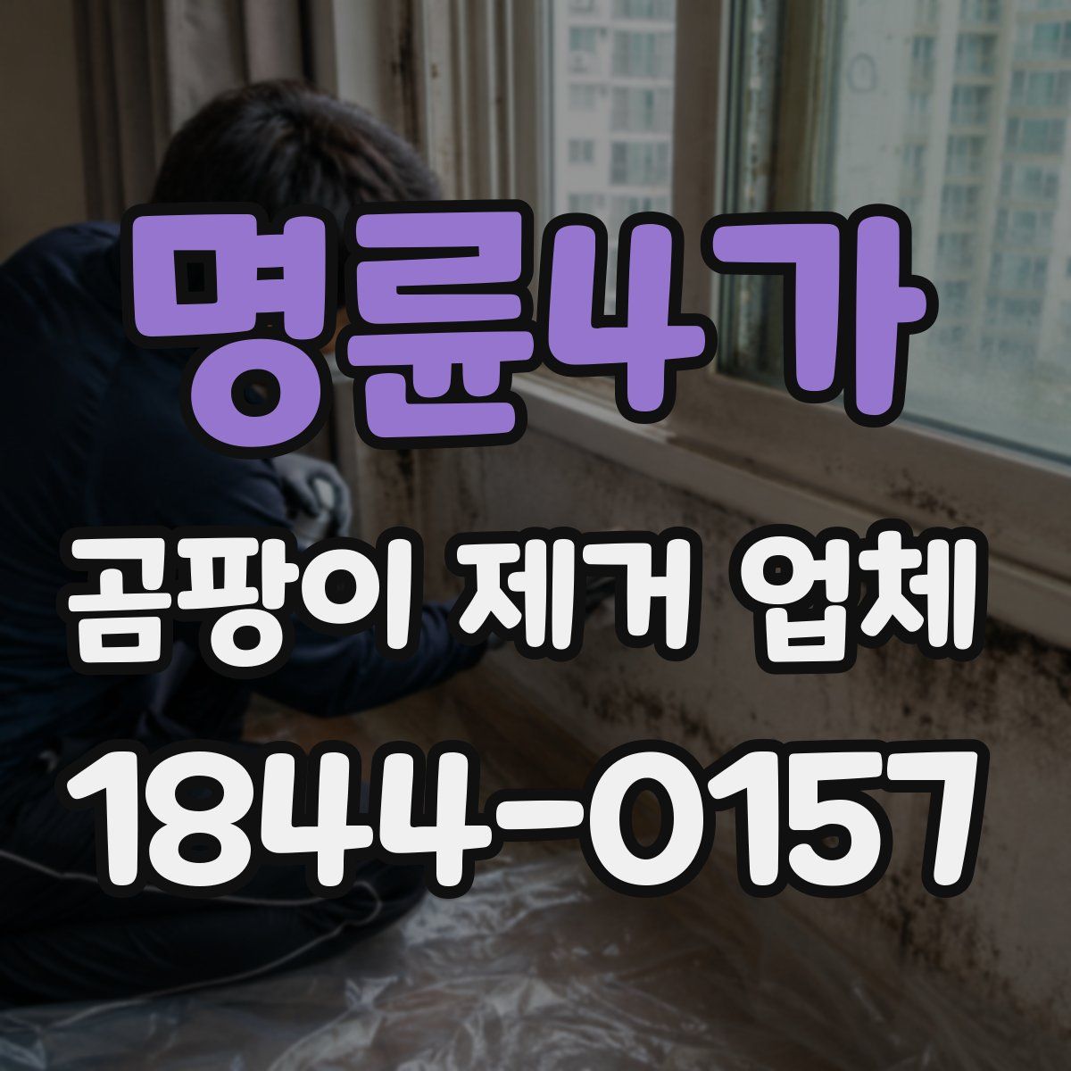 명륜4가 곰팡이 제거 업체