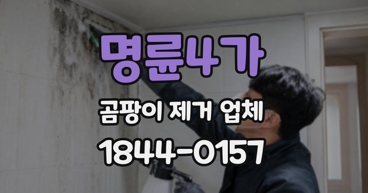 명륜4가 곰팡이 제거 업체