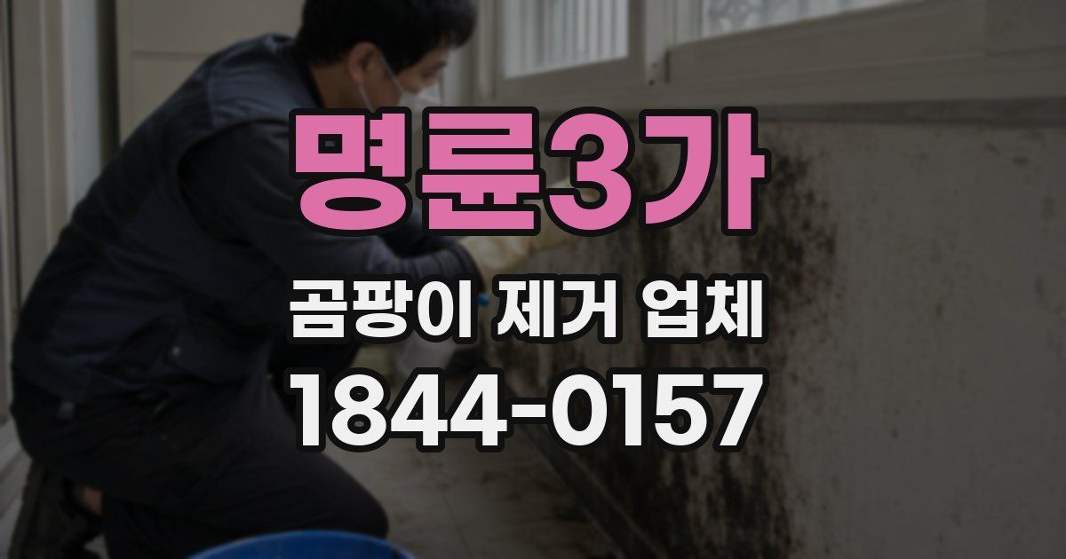 명륜3가 곰팡이 제거 업체