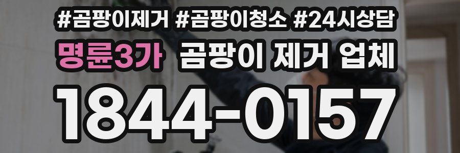 명륜3가 곰팡이 제거 업체
