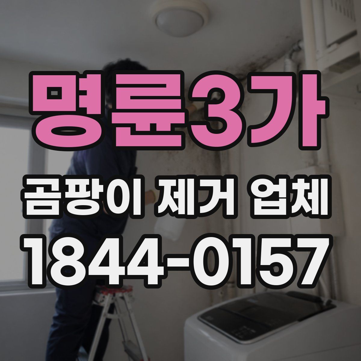명륜3가 곰팡이 제거 업체