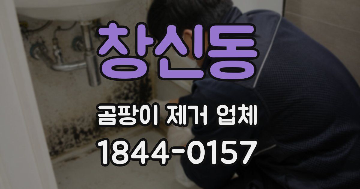 창신동 곰팡이 제거 업체