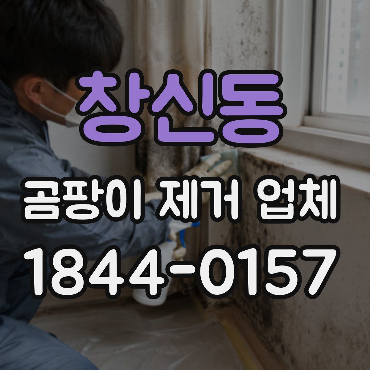 창신동 곰팡이 제거 업체