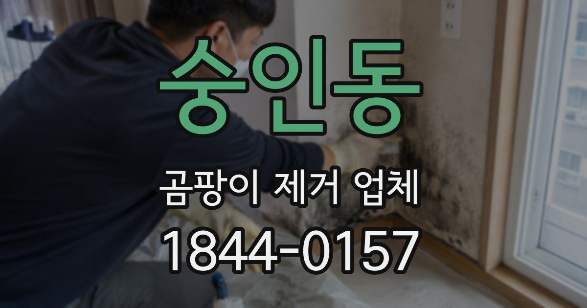 숭인동 곰팡이 제거 업체