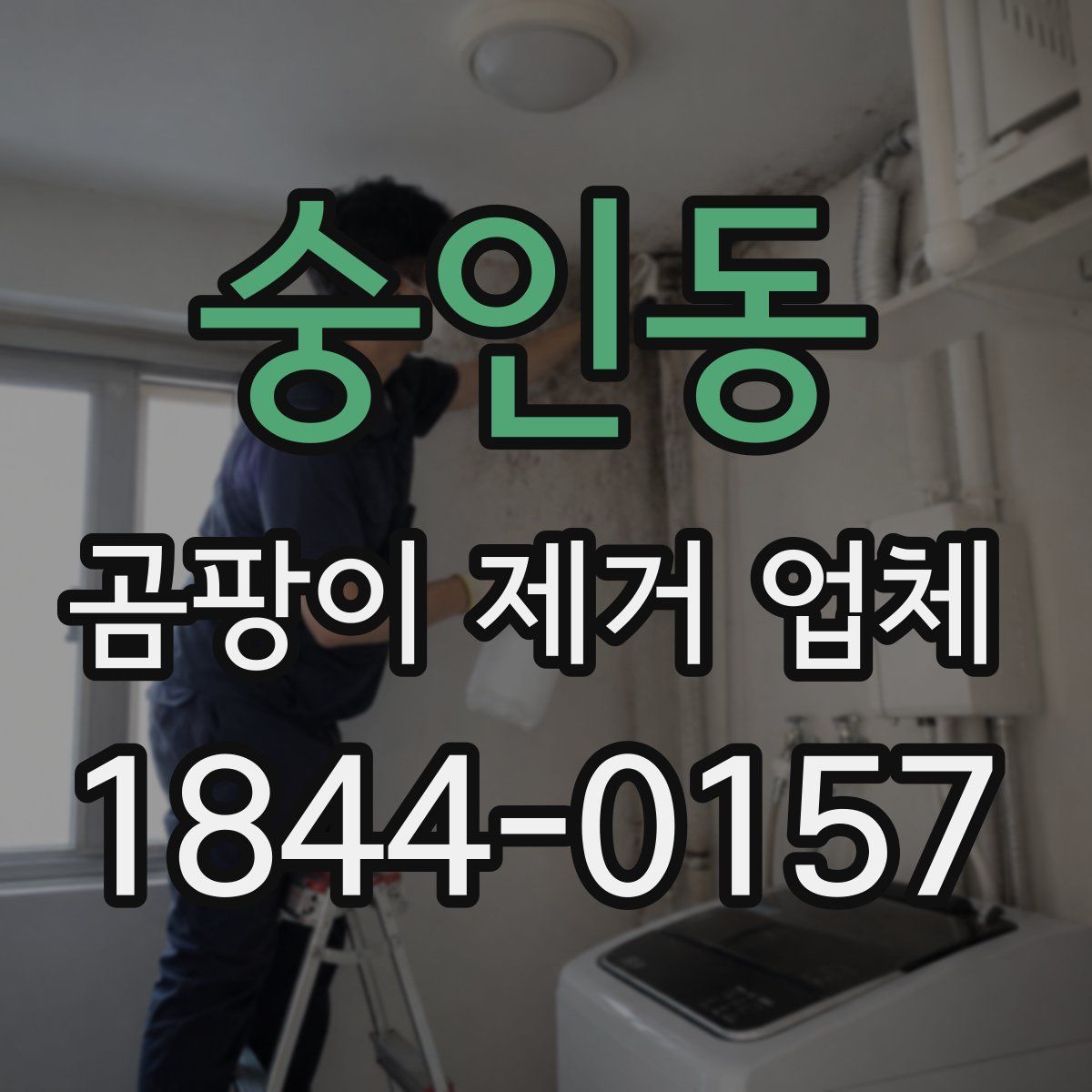 숭인동 곰팡이 제거 업체