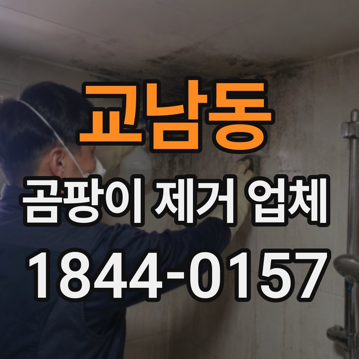 교남동 곰팡이 제거 업체
