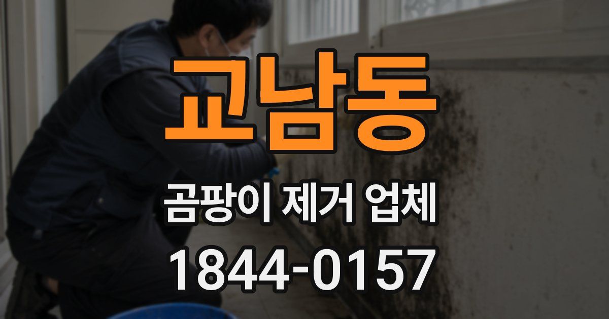교남동 곰팡이 제거 업체