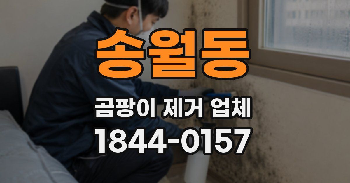 송월동 곰팡이 제거 업체