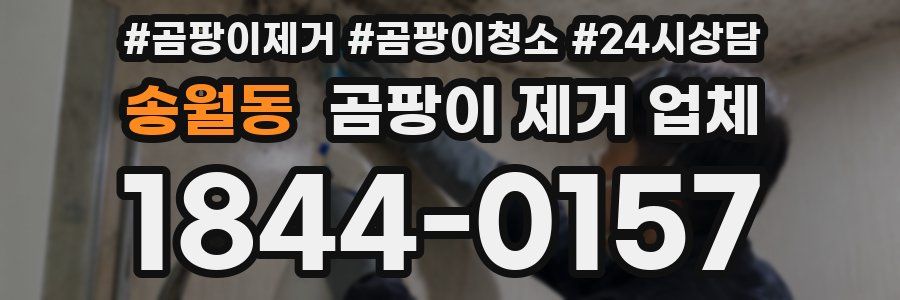 송월동 곰팡이 제거 업체