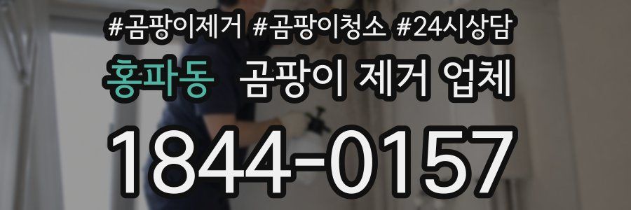 홍파동 곰팡이 제거 업체