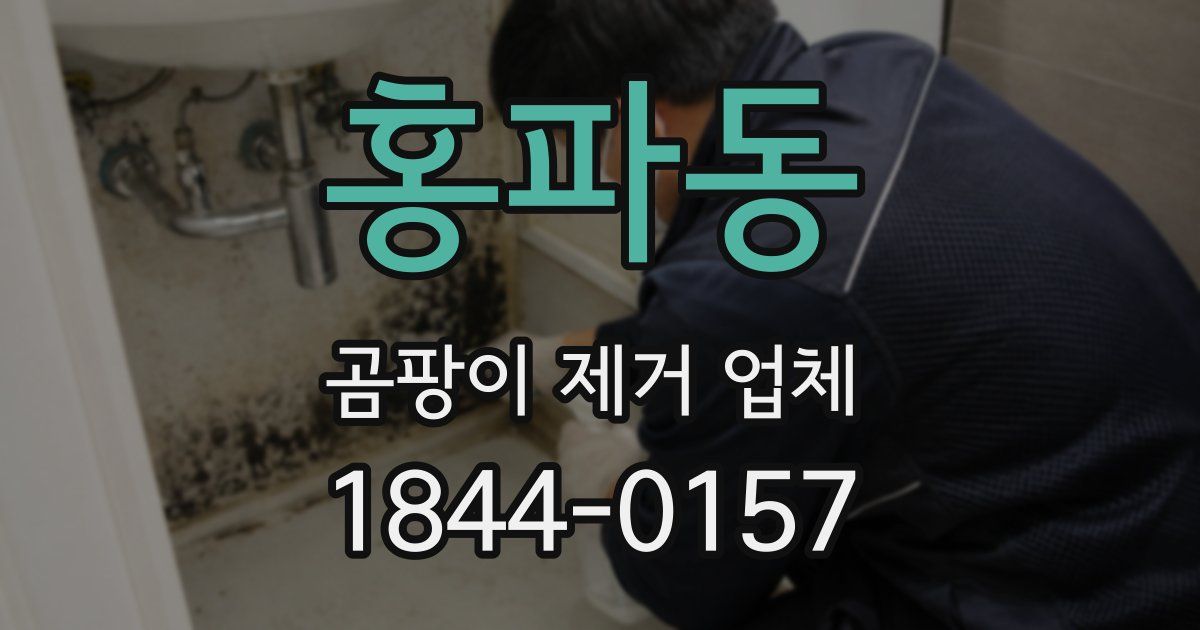 홍파동 곰팡이 제거 업체