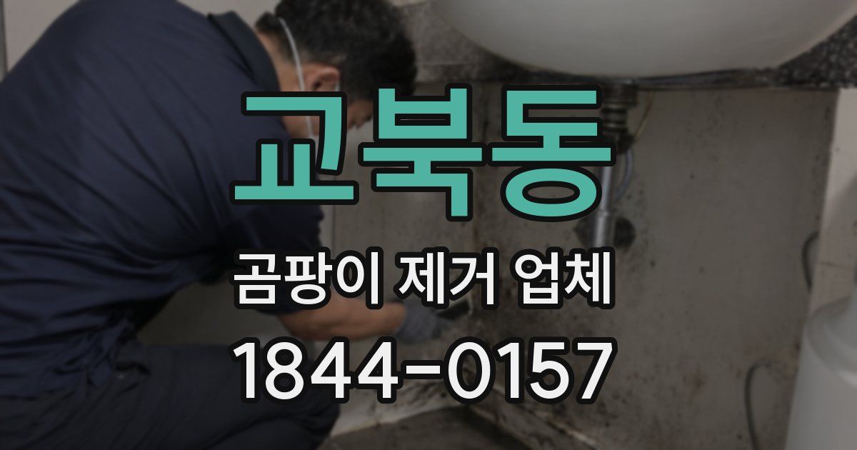 교북동 곰팡이 제거 업체