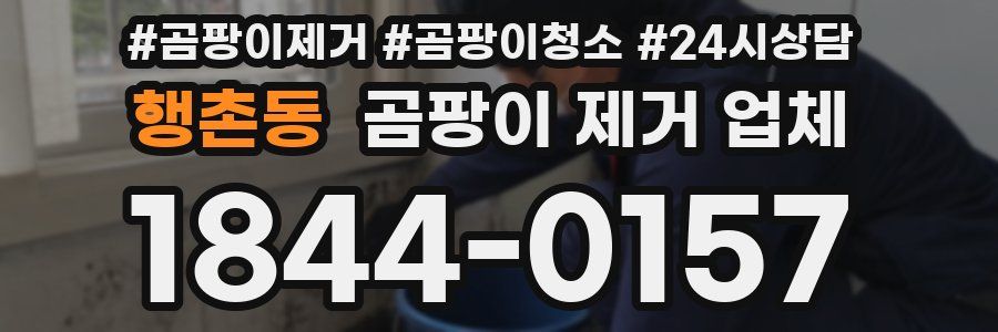 행촌동 곰팡이 제거 업체