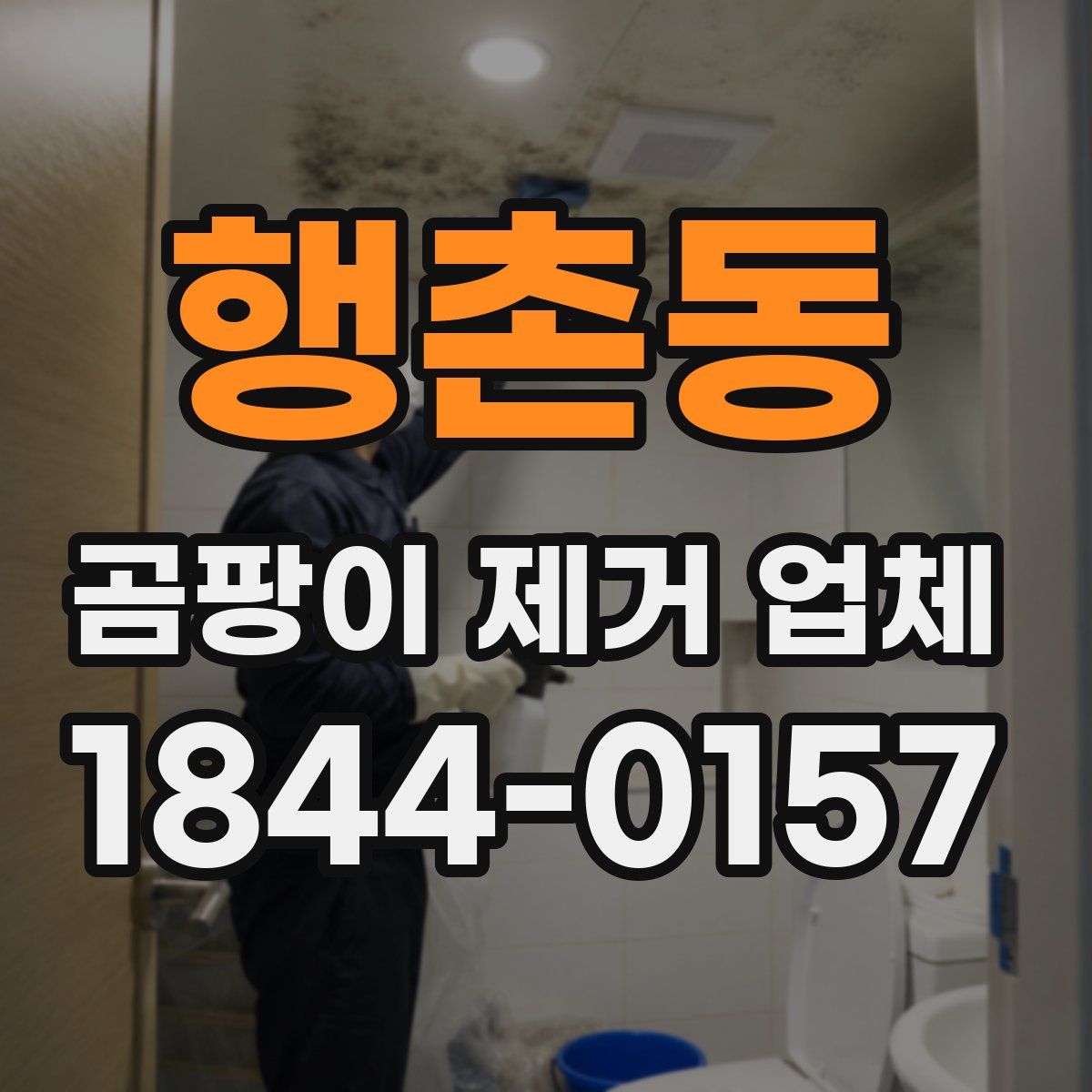 행촌동 곰팡이 제거 업체