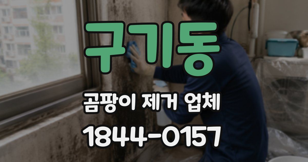 구기동 곰팡이 제거 업체