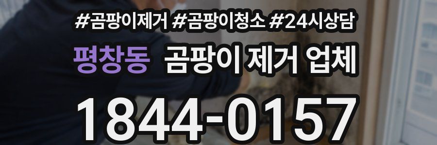 평창동 곰팡이 제거 업체