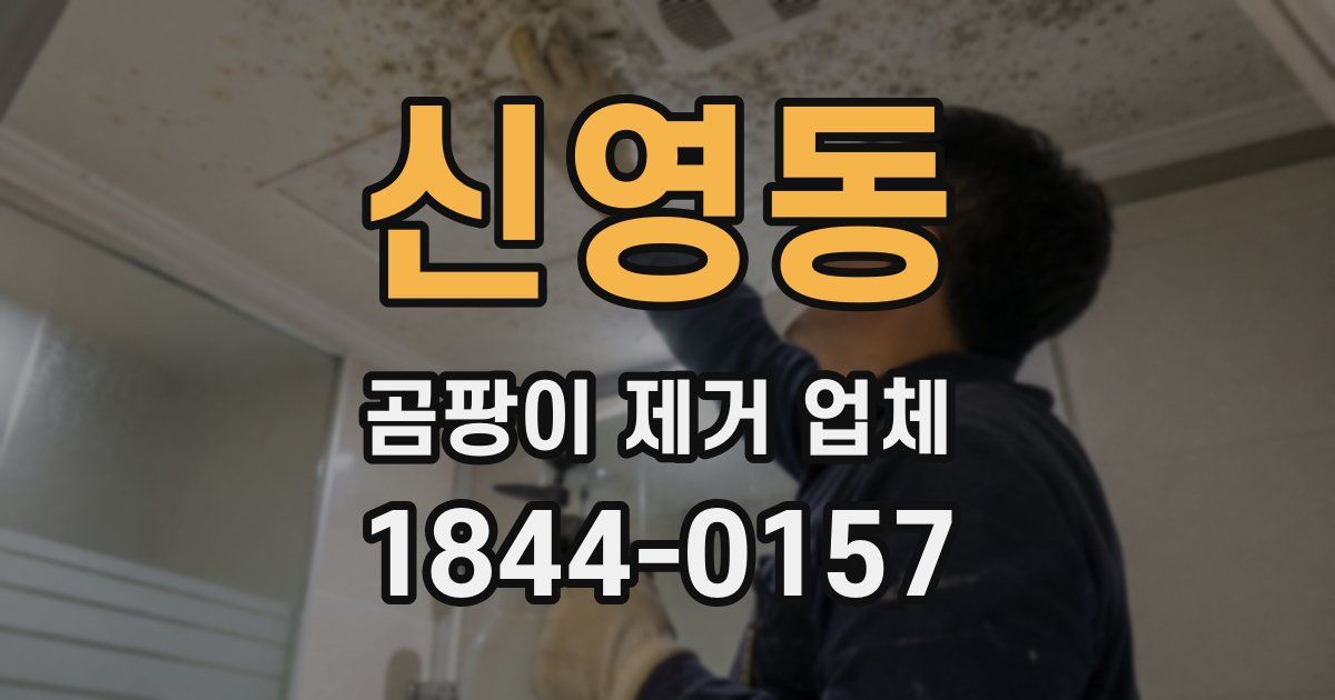 신영동 곰팡이 제거 업체